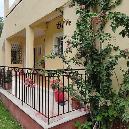 Oliveland Apartments Kávos Exterior photo